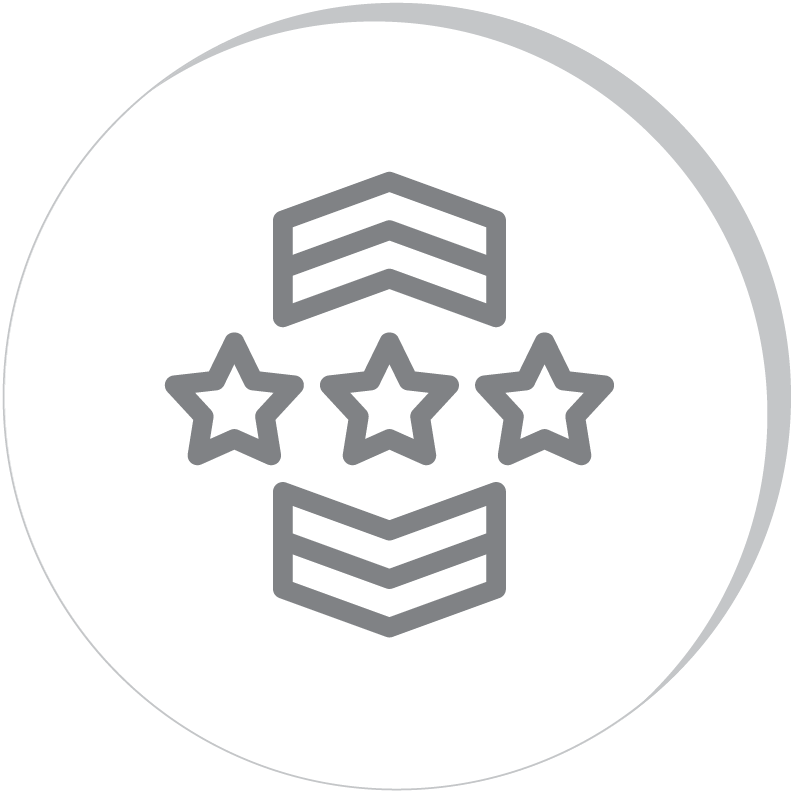 military badge icon