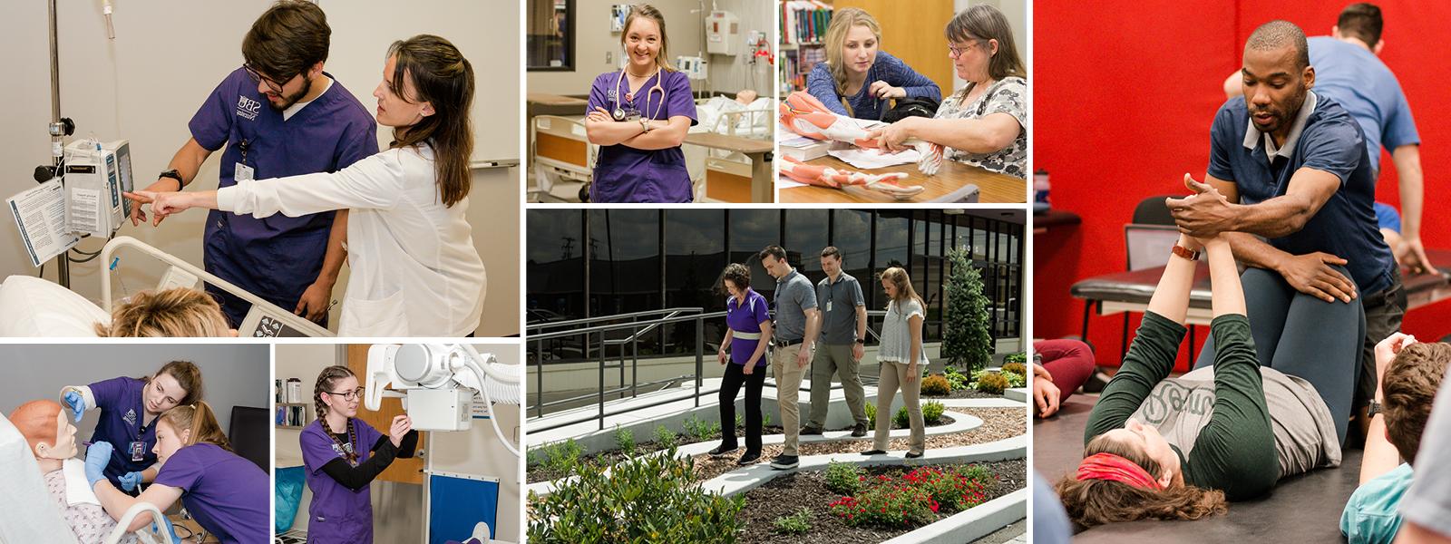 collage of photos of nursing, physical therapy, and radiography students at work